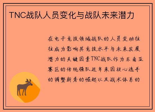 TNC战队人员变化与战队未来潜力